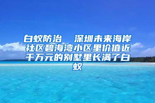 白蚁防治  深圳未来海岸社区碧海湾小区里价值近千万元的别墅里长满了白蚁