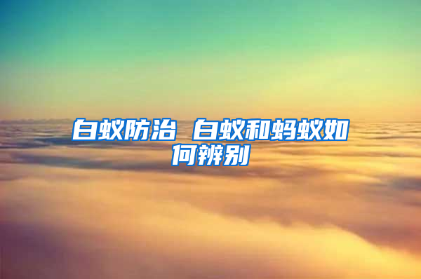 白蚁防治 白蚁和蚂蚁如何辨别