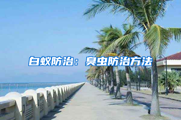 白蚁防治：臭虫防治方法