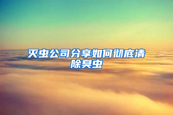 灭虫公司分享如何彻底清除臭虫