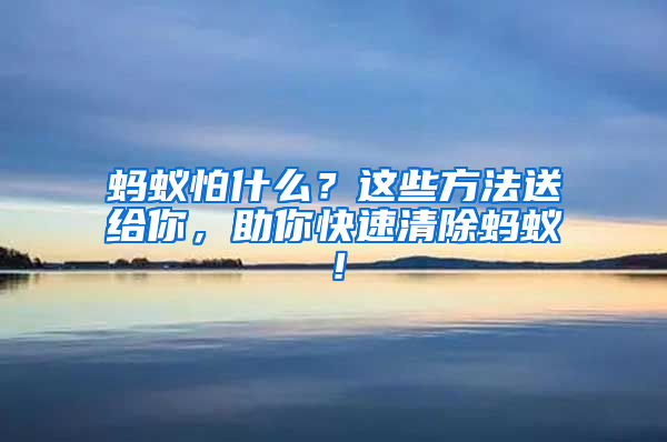 蚂蚁怕什么？这些方法送给你，助你快速清除蚂蚁！