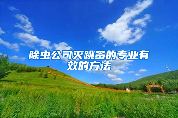 除虫公司灭跳蚤的专业有效的方法