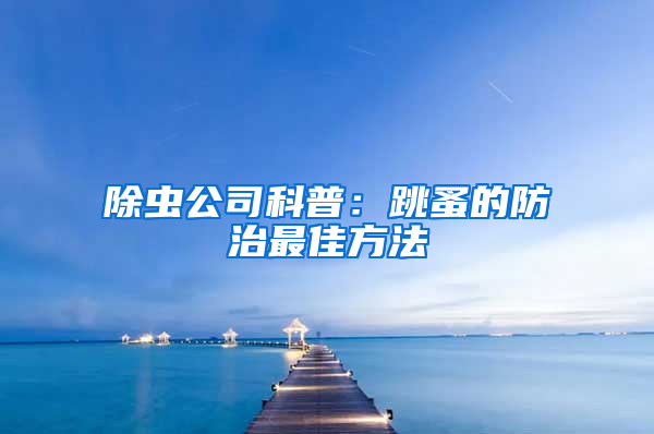 除虫公司科普：跳蚤的防治最佳方法