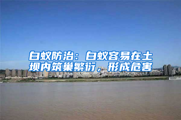 白蚁防治：白蚁容易在土坝内筑巢繁衍，形成危害