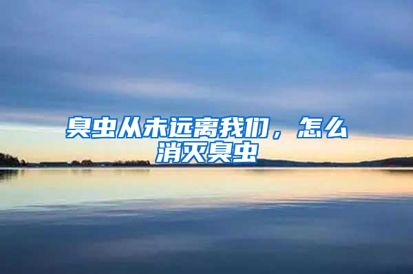 臭虫从未远离我们，怎么消灭臭虫