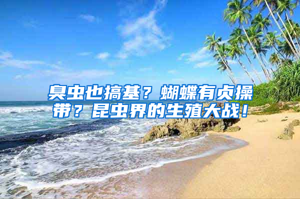 臭虫也搞基？蝴蝶有贞操带？昆虫界的生殖大战！