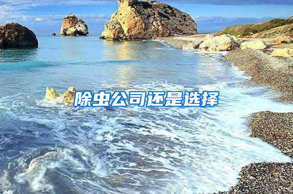 除虫公司还是选择