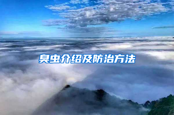 臭虫介绍及防治方法