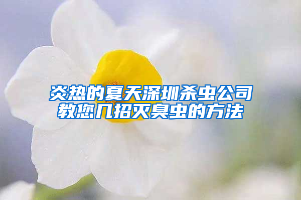 炎热的夏天深圳杀虫公司教您几招灭臭虫的方法