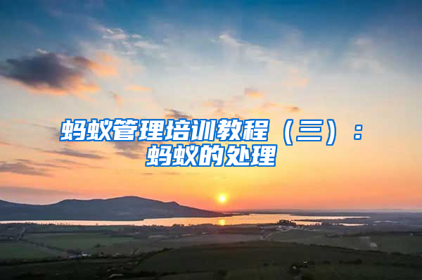 蚂蚁管理培训教程（三）：蚂蚁的处理