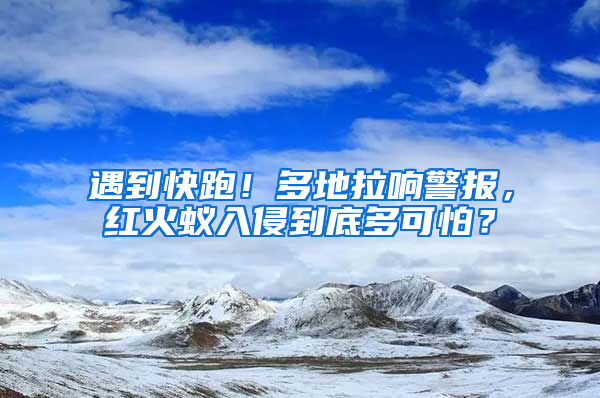 遇到快跑！多地拉响警报，红火蚁入侵到底多可怕？