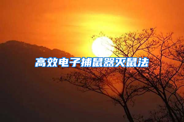高效电子捕鼠器灭鼠法