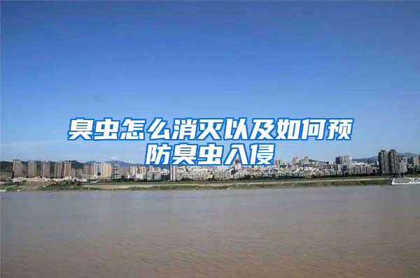 臭虫怎么消灭以及如何预防臭虫入侵