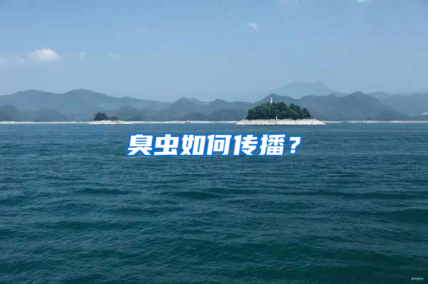 臭虫如何传播？