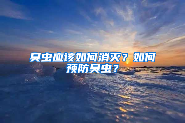 臭虫应该如何消灭？如何预防臭虫？