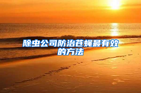 除虫公司防治苍蝇最有效的方法