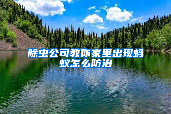 除虫公司教你家里出现蚂蚁怎么防治