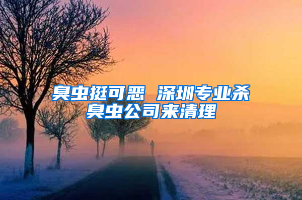 臭虫挺可恶 深圳专业杀臭虫公司来清理