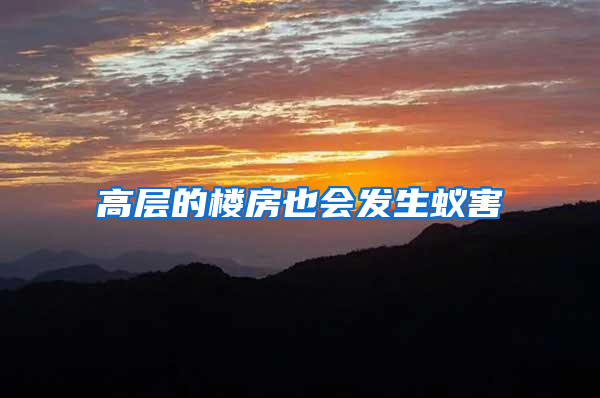 高层的楼房也会发生蚁害
