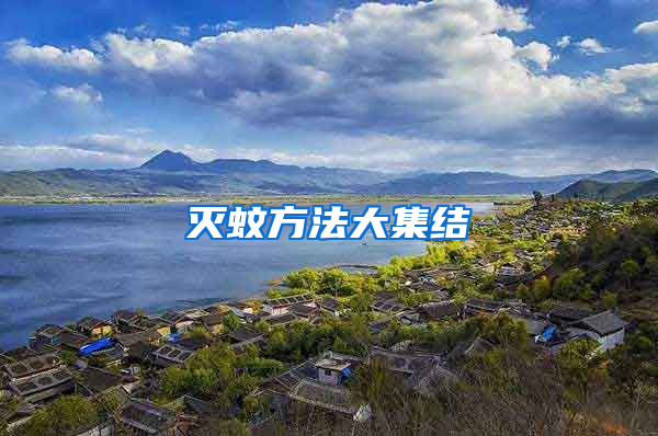 灭蚊方法大集结