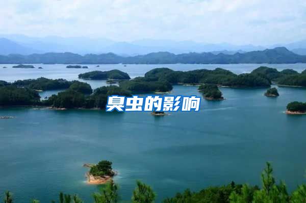 臭虫的影响