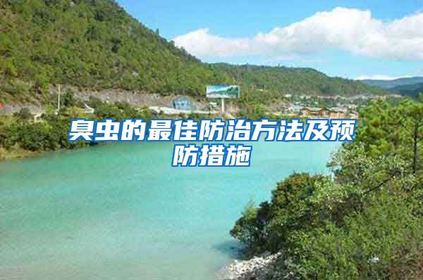 臭虫的最佳防治方法及预防措施