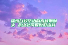 深圳白蚁防治的高峰期到来 杀虫公司要做好应对