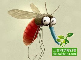 灭四害消杀公司-灭蚊虫最好方法,杀虫公司给您分析