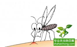 抗药性是什么意思？蚊子怎么会出现抗药性？